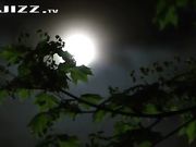 乱伦系列-我和母亲的不论之爱