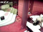 情趣酒店水滴摄像头监控偷拍很会玩的眼镜情侣各种姿势有点重温玉蒲团的感觉