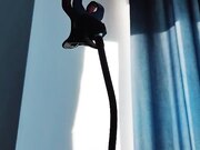 无毛白虎小嫩逼露脸大秀小哥无套抽插上位01