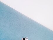 00后嫩妹躺平岔开双腿极品蝴蝶穴