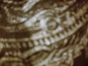 深夜约会所小姐酒店上门服务啪啪啪