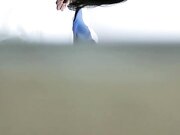 娇妻连续勾搭美团两外卖小哥玩3P