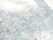 骚货俏秘书跟小哥哥玩刺激的野战叫都不敢大声