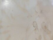 商K达人激情一整夜与小萝莉深入交流双双高潮