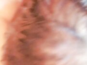 很主动的小骚逼露脸让小哥哥抱在怀里草着 边亲边揉奶子激情抽插浪荡呻吟