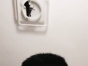 保时捷车模为赚钱下海被炮友各种操小背心哪吒头