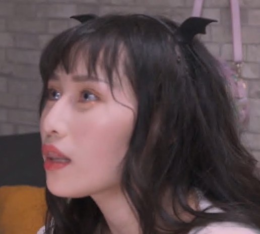 遊戲實況主的墮落