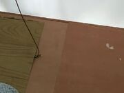 不懂事的小妹妹在上铺偷拍妈妈跟后爹和他朋友玩3P游戏 淫乱不堪的画面各种姿势