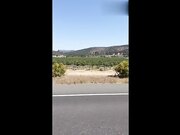 献出肉体老板给我升职加薪很合理