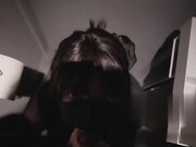 5号高质量新作「 爱在夏威夷 」森林 • 番