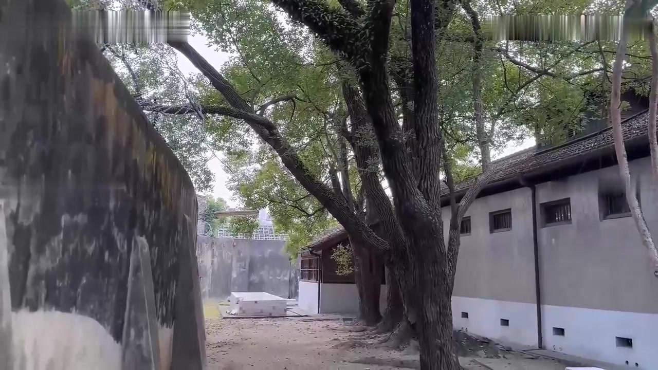 太太为了拯救冤狱的老公，用尽一切方法贿络典狱长