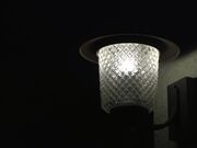 一个恶魔女演员竟然想和这样的女人发生关系 1