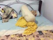 老婆的表妹最近被老公抛弃了来家里吃饭喝高了搞到了床上给她逼逼拍照留念啪啪