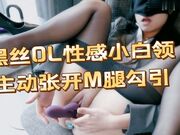 黑丝OL性感小白领主动张开黑丝M腿勾引，高冷小白领一插进来秒变小荡妇