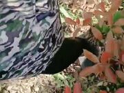 极品美少妇勾搭68岁流浪汉大爷 浑身嗙臭口起来直干呕 急不可待小树林激战