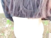 超爽新作路过少妇房东所在地 按在河摊上野战操她后入内射