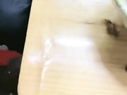 戴着跳蛋勾搭吃宵夜小哥哥打炮 一路潮吹喷水情趣制服在酒吧厕所开战