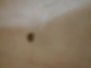 今夜爆操豪乳娃娃脸情人 情趣连体黑丝扛腿爆操无套内射