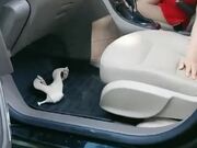 大白天激情户外马路边上的啪啪 全程露脸的气质少妇路边给小哥口交大鸡巴