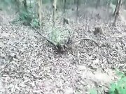 野外车震高冷女上司 打开车门后入操逼 狠狠的内射溢出精液