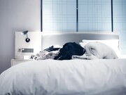 七天探花_深夜场丰满大奶美女 抠完B戴套后入推车奶子一晃一晃真诱人