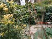 溫泉池勾引帥氣小哥打飛機 淫蕩對白