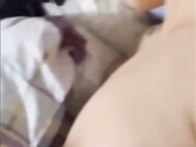 假富二代约操反差骚货真价实料大奶子无套口爆颜射