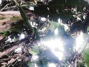 阳光明媚的一天 无毛粉木耳主播跑到户外用瓶子自慰 这妹子什么都敢玩