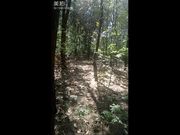 大波网红多多小树林演绎西游记勾引师父唐憎啪啪被三个徒弟轮番性报复