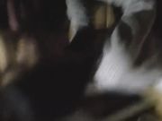 性感女神小少妇各种口交肛交操B内射合集 呻吟销魂给力 国语对白