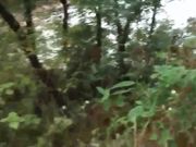 对白淫荡的母子野外黑丝乱伦无套内射高清无水印版