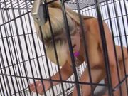 荡妇训练Slut Training