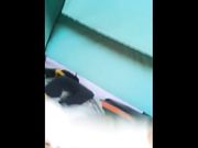 极品美乳女神魅心宿营帐篷内玩嫩逼美乳 高潮浪叫呻吟 到车上接着玩 淫语对白 完美露脸