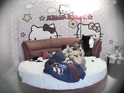 哈喽KT情趣房女友貌似很饥渴还没有脱好就把他按倒鸡巴吃得很有味