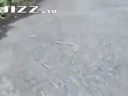 绝美女友第一次在街头给我舔鸡巴