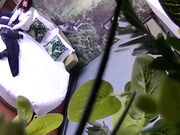 胸大貌美的气质美女酒店被又胖鸡鸡又短的胖男刚操一会就干不动了,美女有点不高兴了叉开双腿还要他接着干!