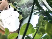 胸大貌美的气质美女酒店被又胖鸡鸡又短的胖男刚操一会就干不动了,美女有点不高兴了叉开双腿还要他接着干!