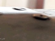 大学校园女生卫生间藏匿隔间偷拍一个接一个美女方便拍脸又拍下面全方位拍摄