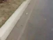 御女范气质短裙大长腿美女荒山野林打电话叫了辆车后才发现没带钱包只能和司机车内激情啪啪肉偿