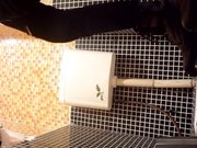 外站最新流出云上会所高清系列牛仔服眼镜妹样子挺招人喜欢