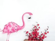 新人主播性感长腿小安妮，情趣内衣火辣热舞，粉嫩骚逼激情自慰，呻吟可射，精彩不要错过第四弹