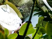 自然钟点房饥渴马尾小少妇与四眼男偷情进屋就热吻洗干净床上各种大战激情四射少妇淫叫喘息声是亮点猛干少妇很满足