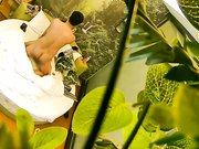 自然房打扮挺潮有点拽的大奶美眉与饥渴小胖开房约炮开始有点矜持等干上了比谁都浪女上位坐个不停操完穿衣就走