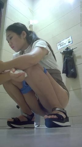 看起来都很清新有文艺气质