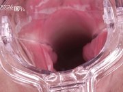 一本道マンコ図鑑 鈴羽みう