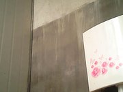 经典厕所偷拍系列这个姐姐胖的像个坦克