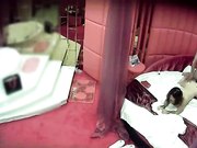 超爆美乳女神麻酥酥大尺度情色脱衣劲舞翘挺G奶摇摆