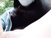 雲南無毛白虎小姑娘住播小樹林羞恥開播菊花臊茓都不放過