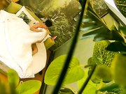 大奶美眉与饥渴小胖开房约炮女上位坐个不停操