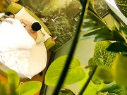 大奶美眉与饥渴小胖开房约炮女上位坐个不停操